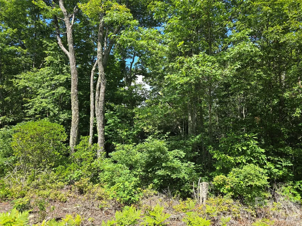 0000 Nancy Mountain Road Rosman, NC 28772