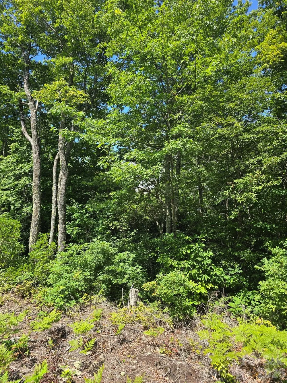 0000 Nancy Mountain Road Rosman, NC 28772