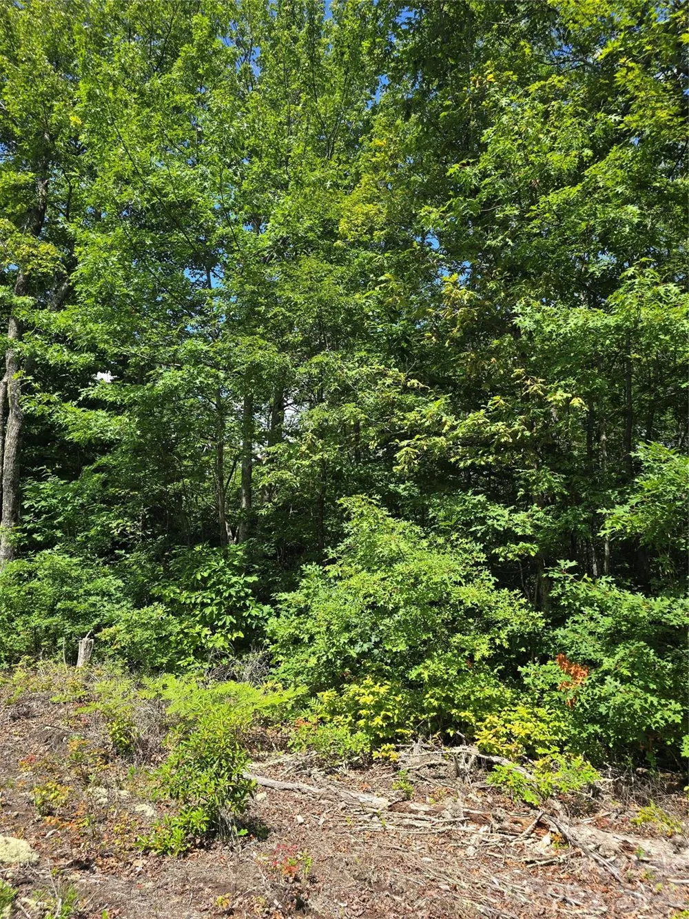 0000 Nancy Mountain Road Rosman, NC 28772