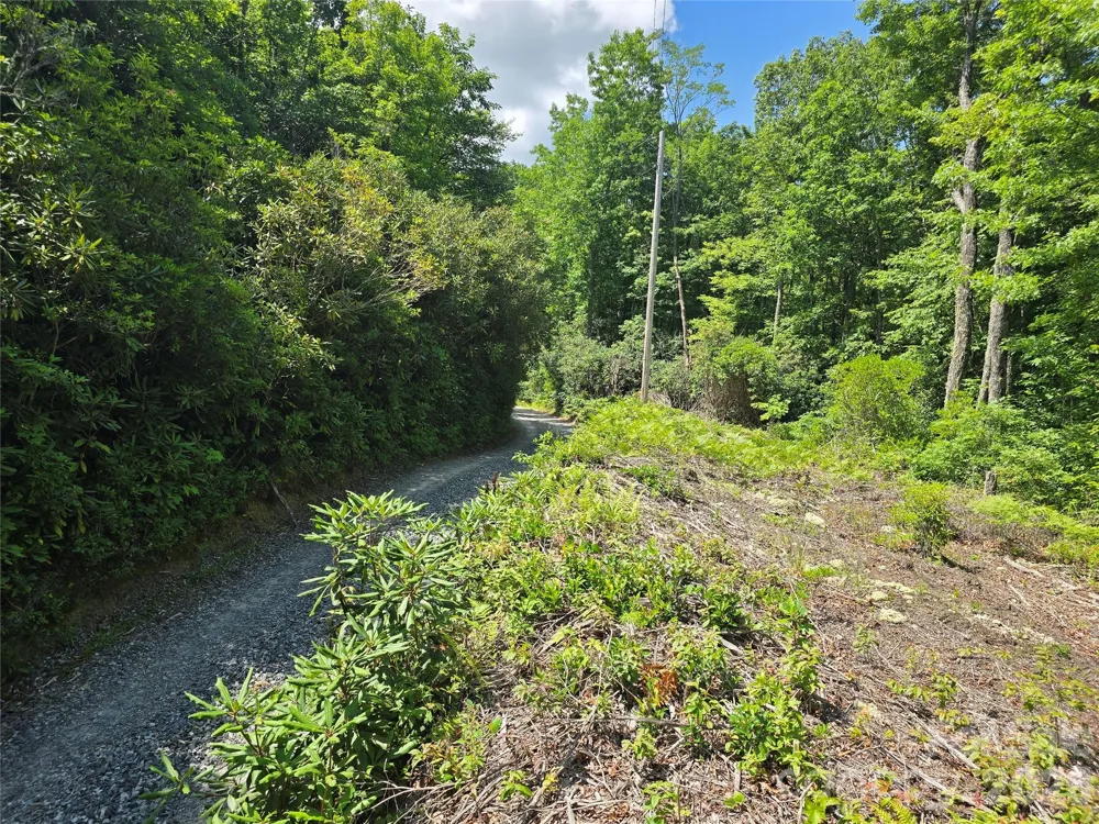 0000 Nancy Mountain Road Rosman, NC 28772