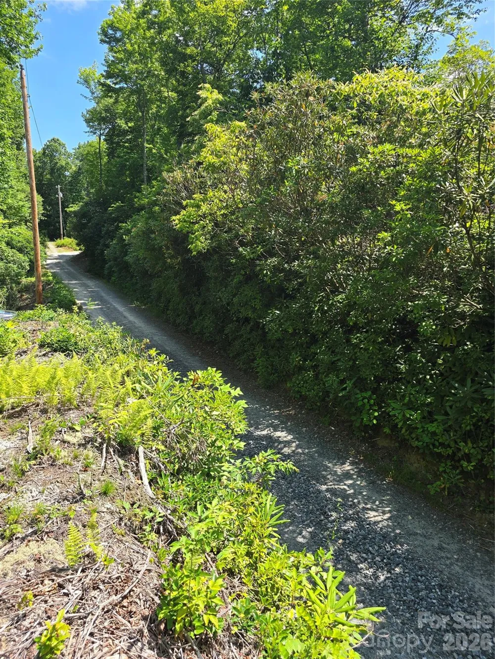 0000 Nancy Mountain Road Rosman, NC 28772