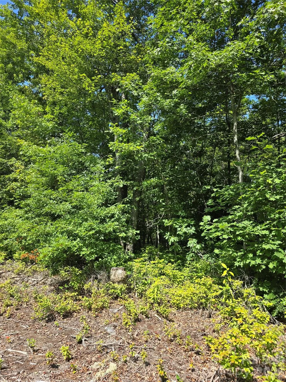 0000 Nancy Mountain Road Rosman, NC 28772