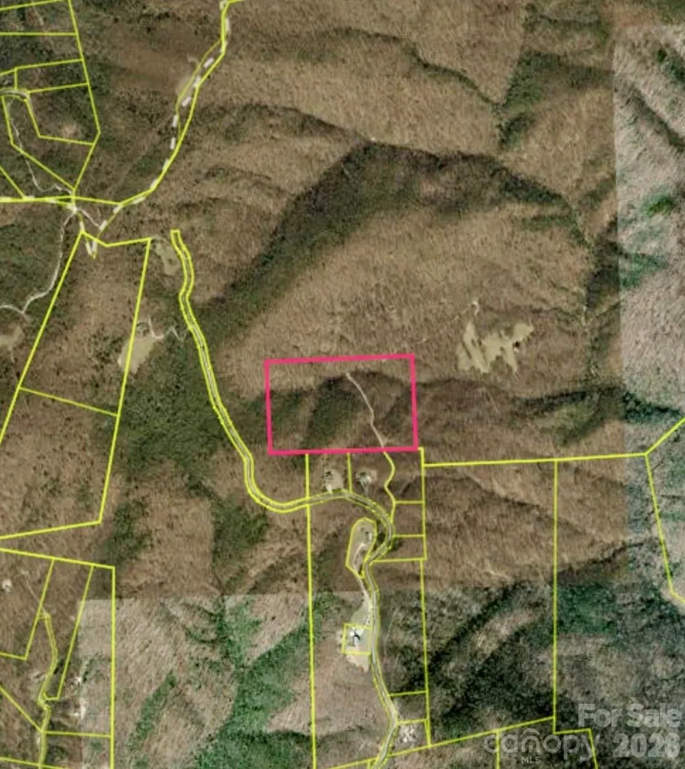 1802 OFF Sr Saluda, NC 28773