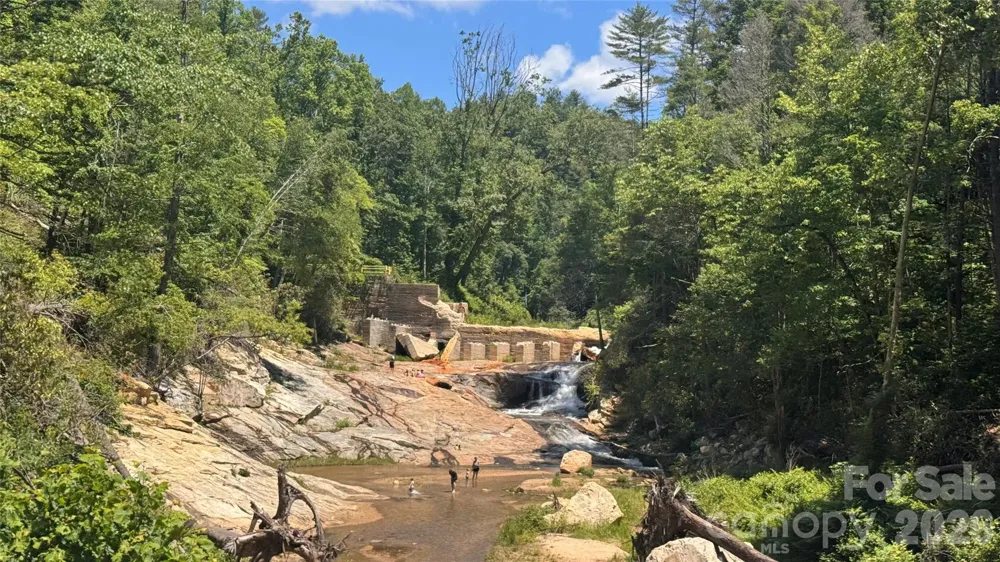 1802 OFF Sr Saluda, NC 28773