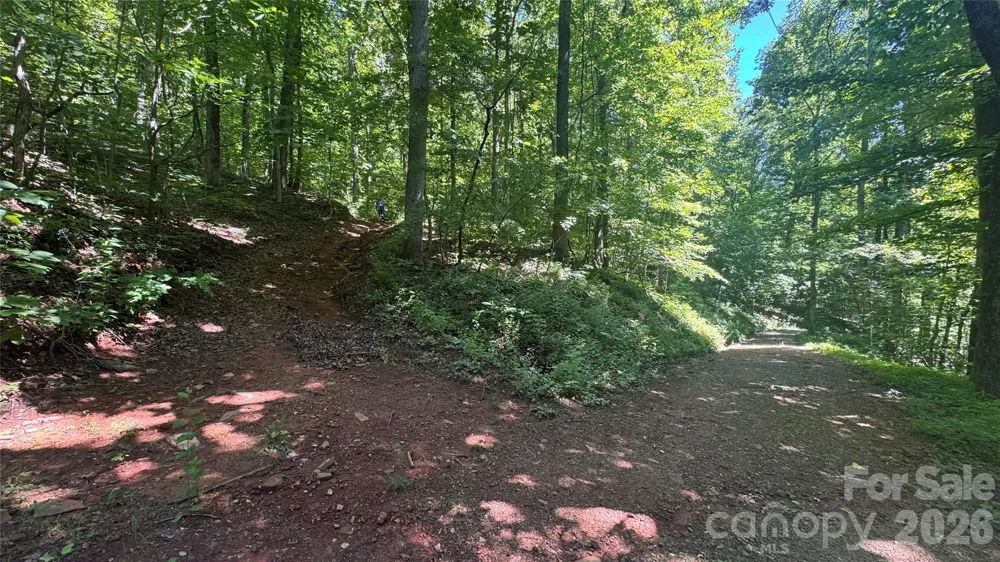 1802 OFF Sr Saluda, NC 28773