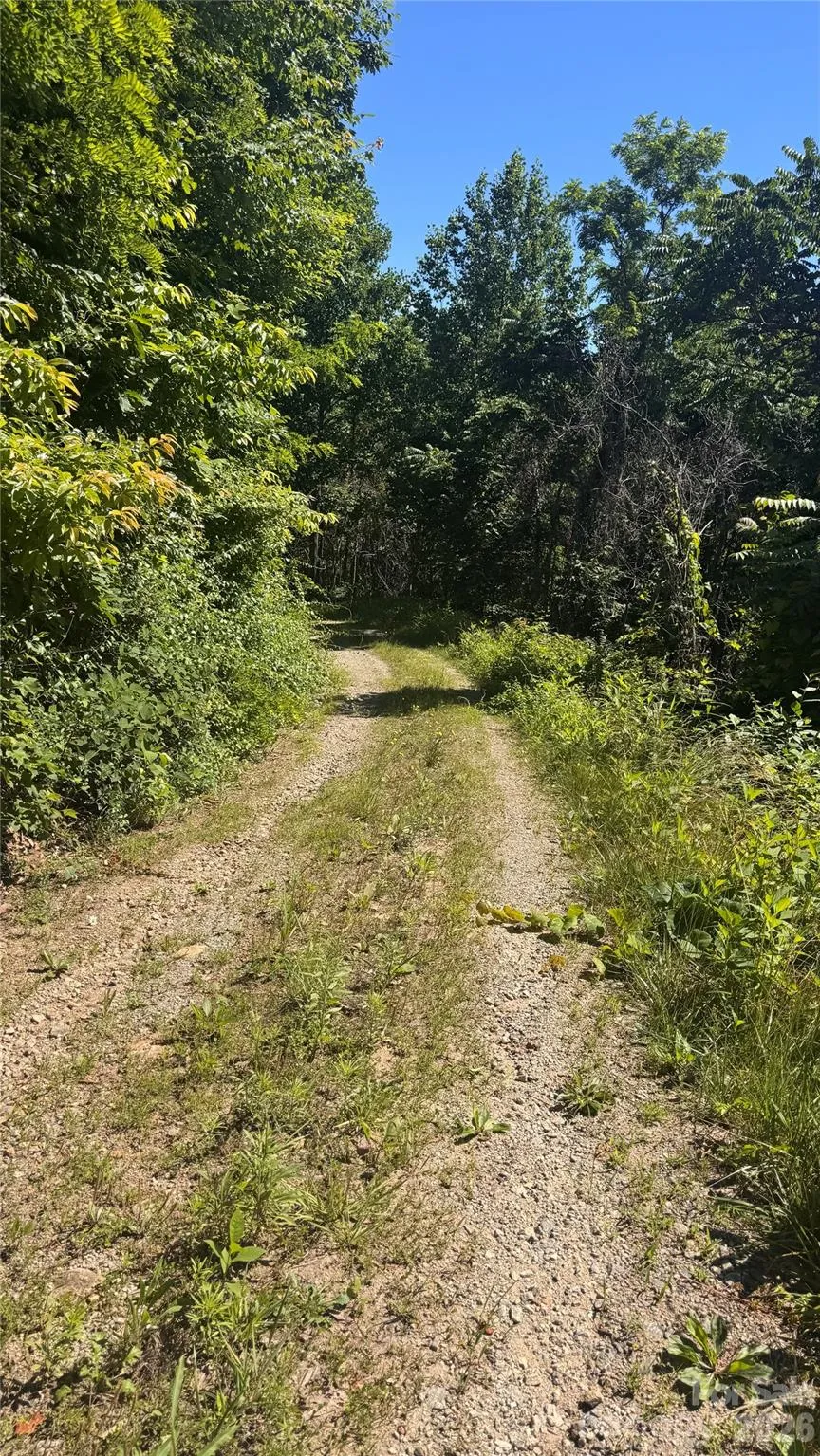 1802 OFF Sr Saluda, NC 28773