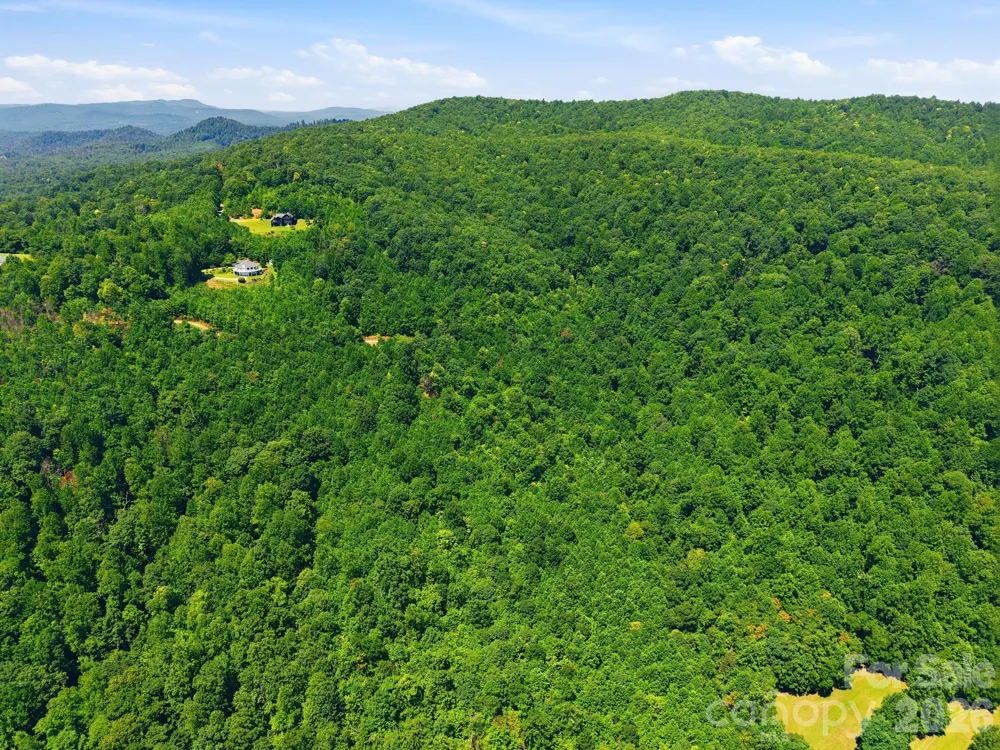 1802 OFF Sr Saluda, NC 28773