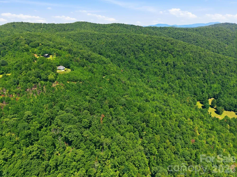 1802 OFF Sr Saluda, NC 28773