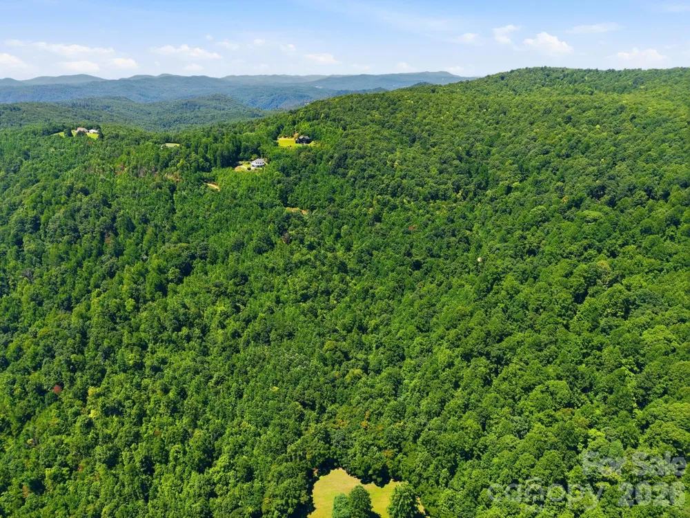 1802 OFF Sr Saluda, NC 28773