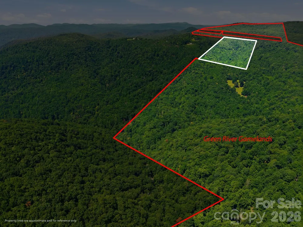 1802 OFF Sr Saluda, NC 28773