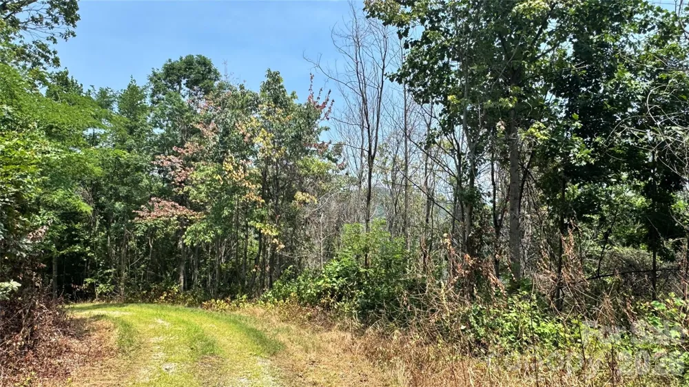 1802 OFF Sr Saluda, NC 28773