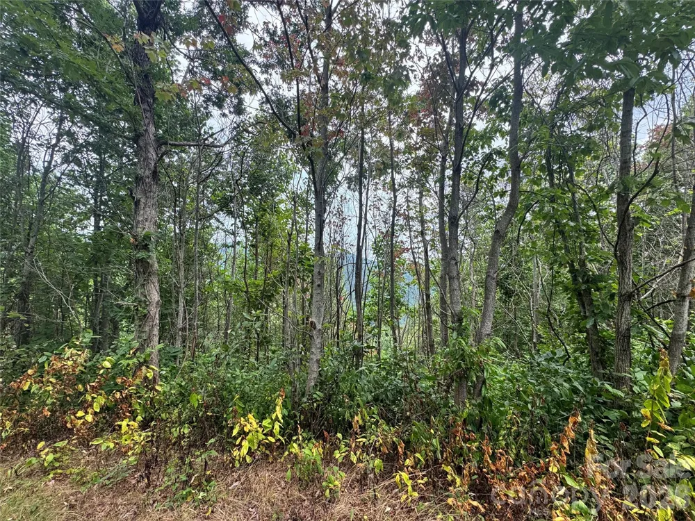 1802 OFF Sr Saluda, NC 28773