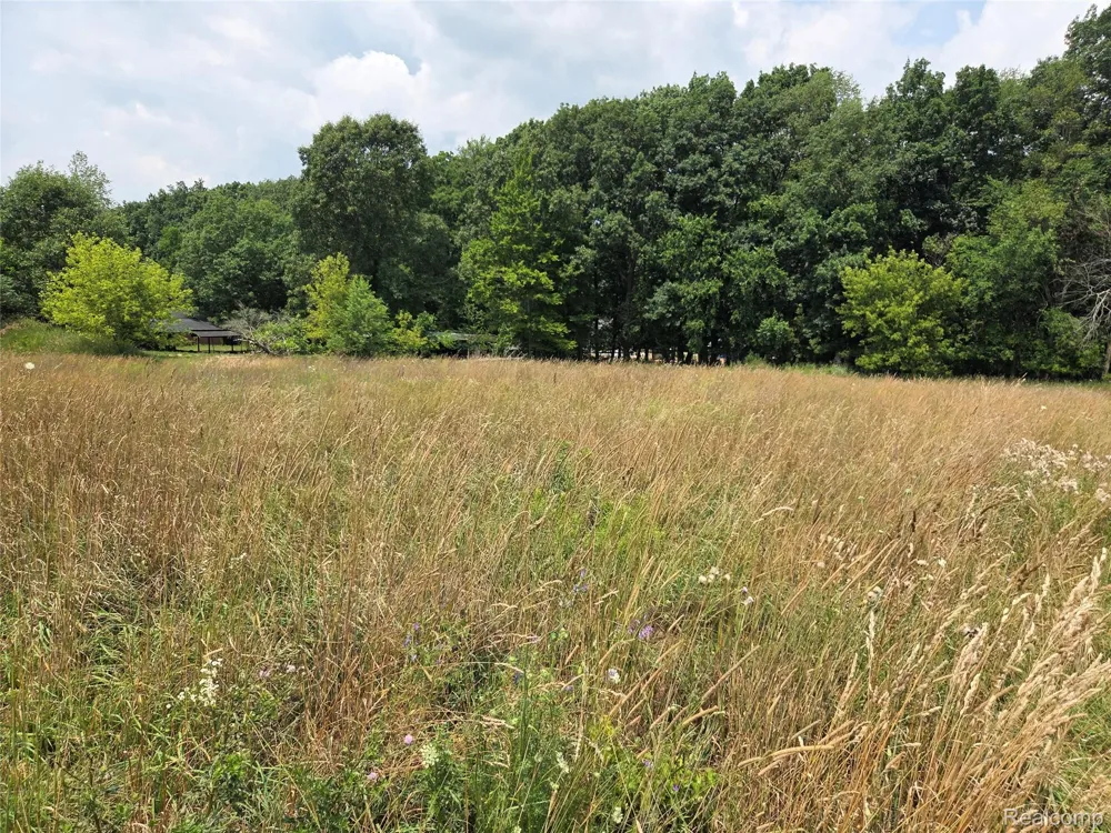 5800 mack Oceola Township, MI 48843