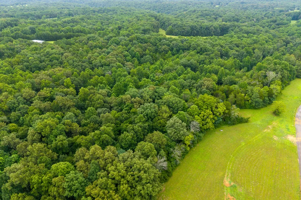 2 Johnson Chapel Rd Sparta, TN 38583
