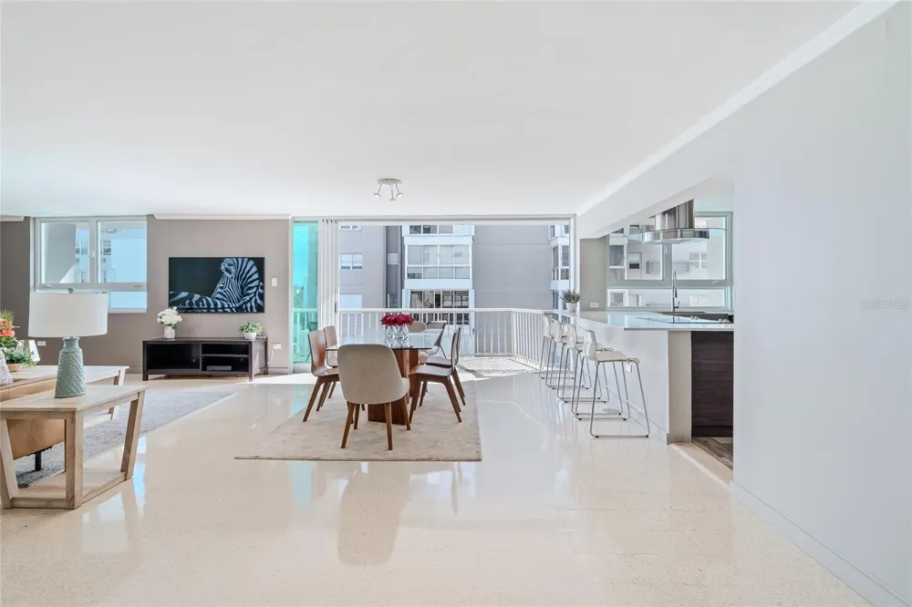 77 KINGS COURT #802 San Juan, PR 00911