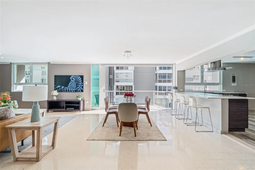 77 KINGS COURT #802 San Juan, PR 00911