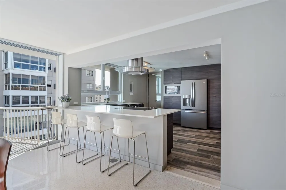 77 KINGS COURT #802 San Juan, PR 00911