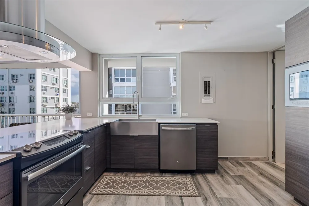 77 KINGS COURT #802 San Juan, PR 00911