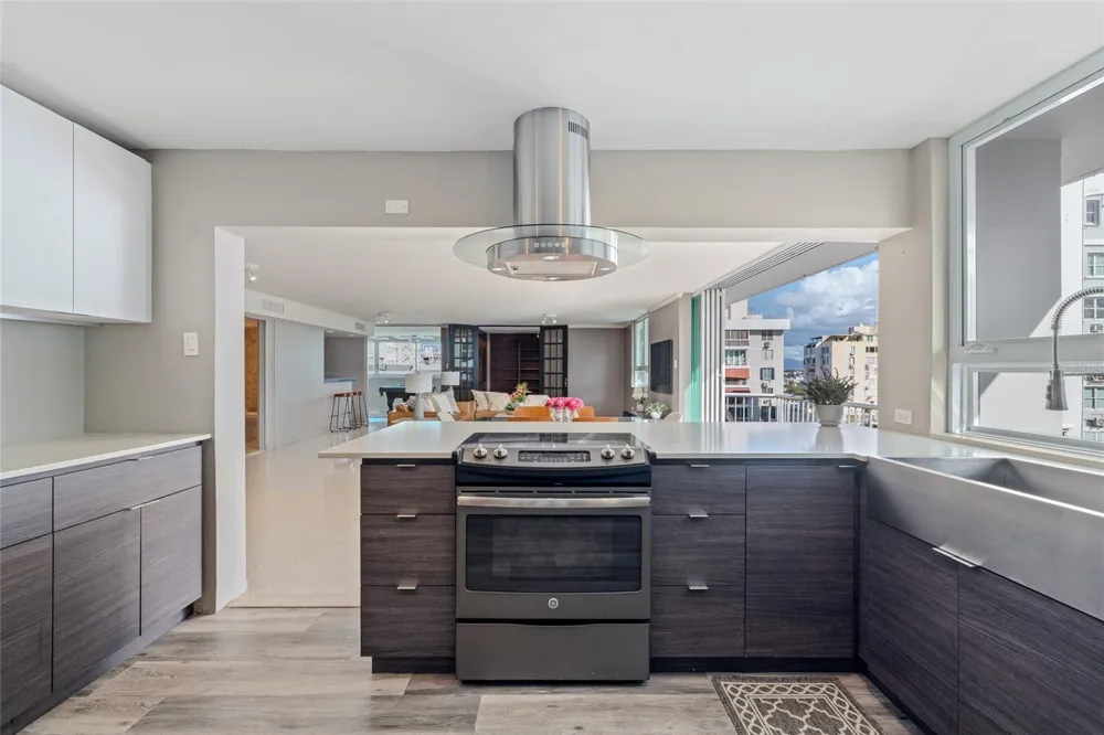 77 KINGS COURT #802 San Juan, PR 00911