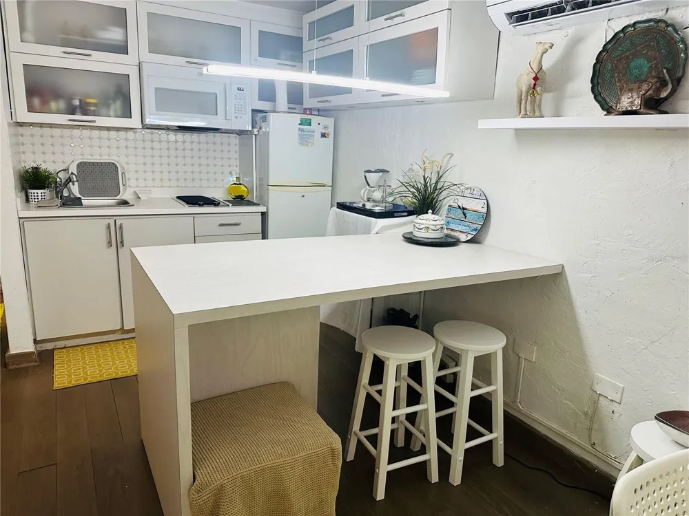 1158 MAGDALENA #3 San Juan, PR 00907