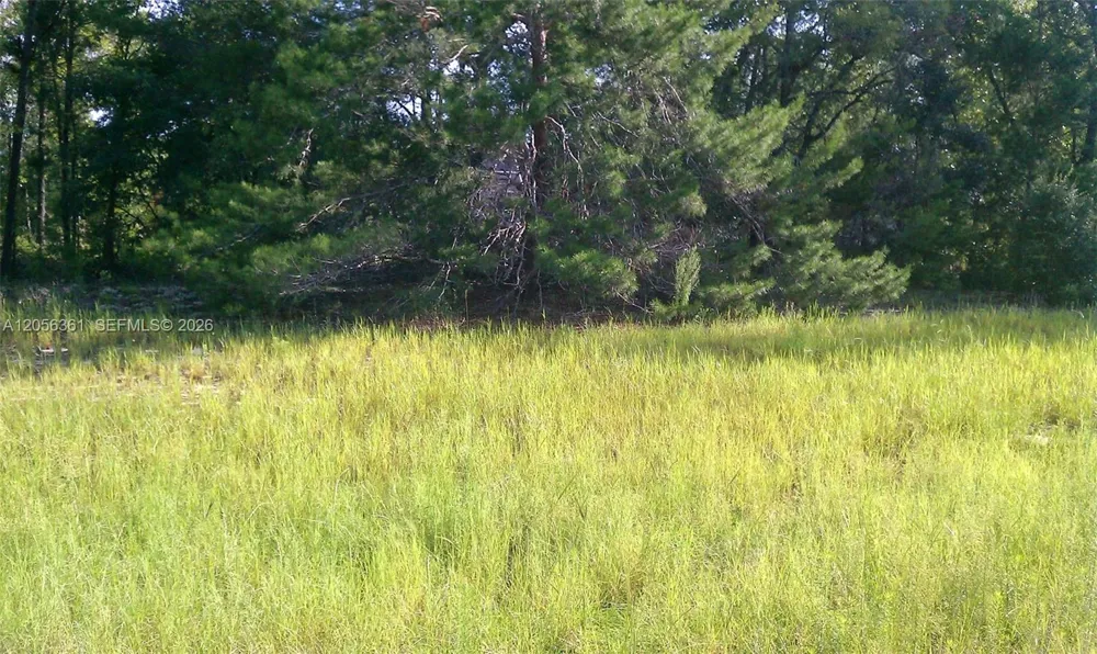0 ocala, FL 34471
