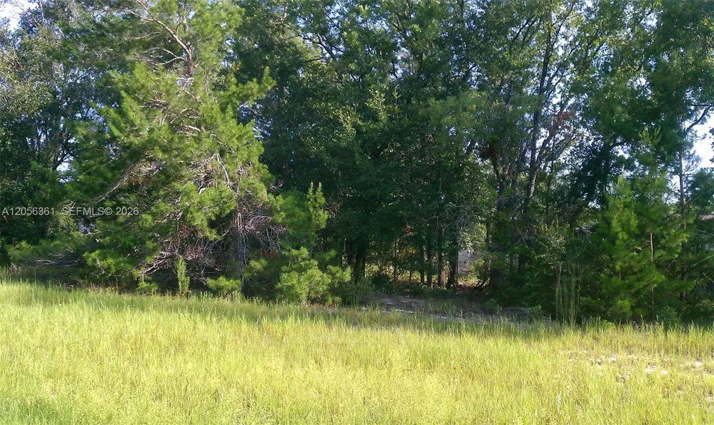 0 ocala, FL 34471