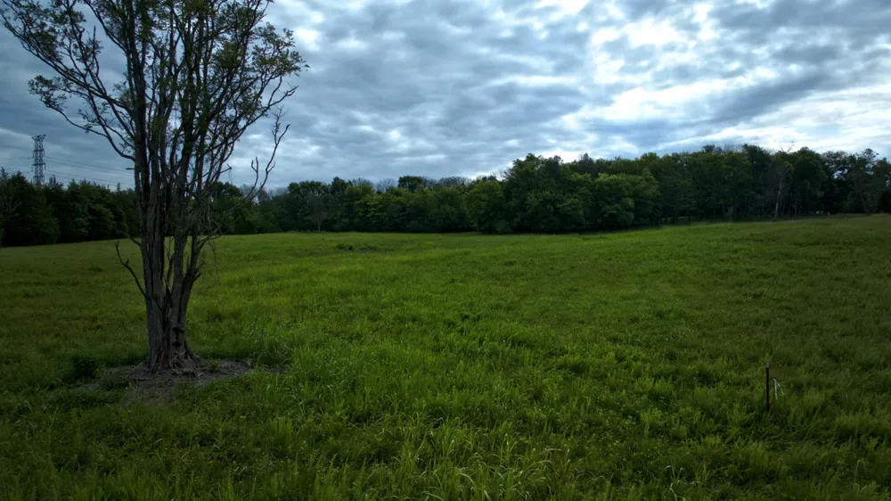 10299 Central Pike Mount Juliet, TN 37122