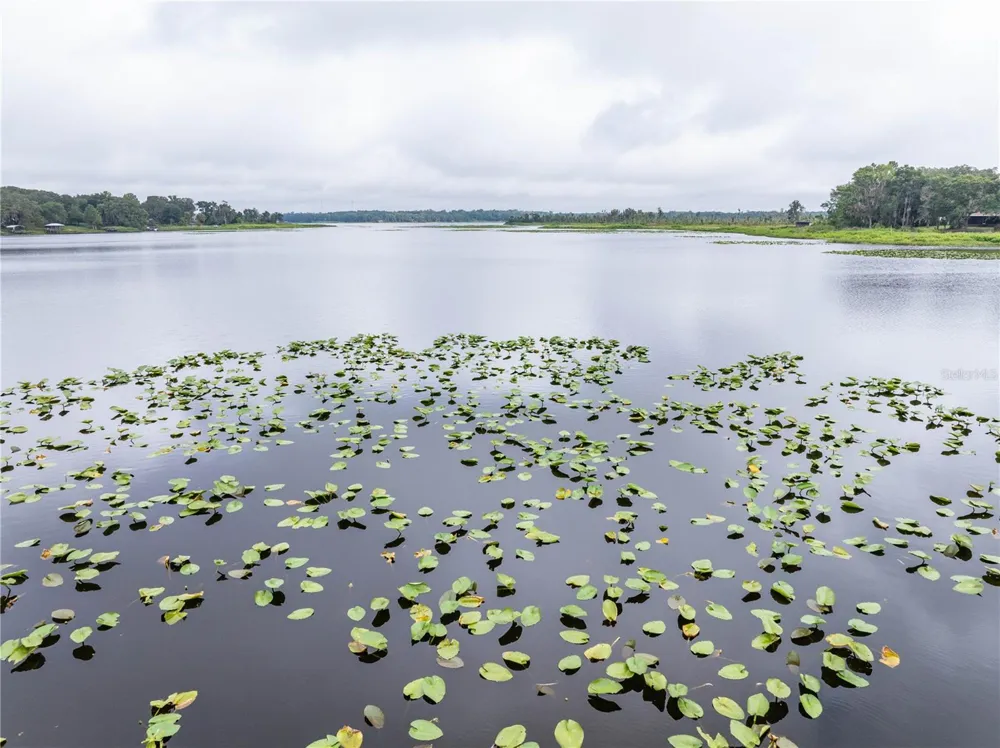 114 LITTLE ORANGE LAKE DRIVE Hawthorne, FL 32640