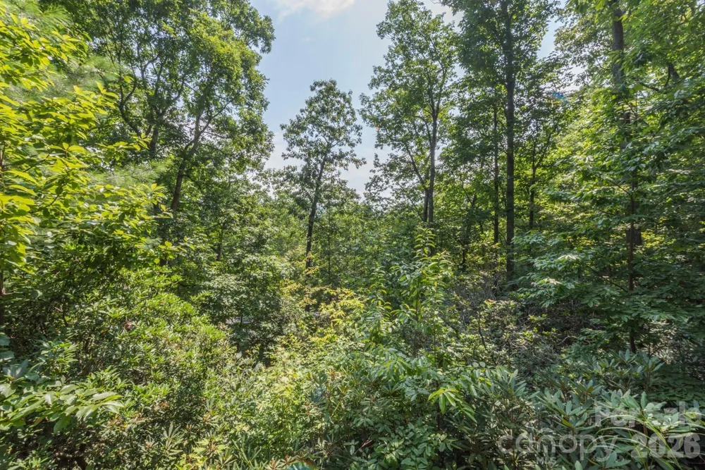 275 Allen Mountain Drive Black Mountain, NC 28711