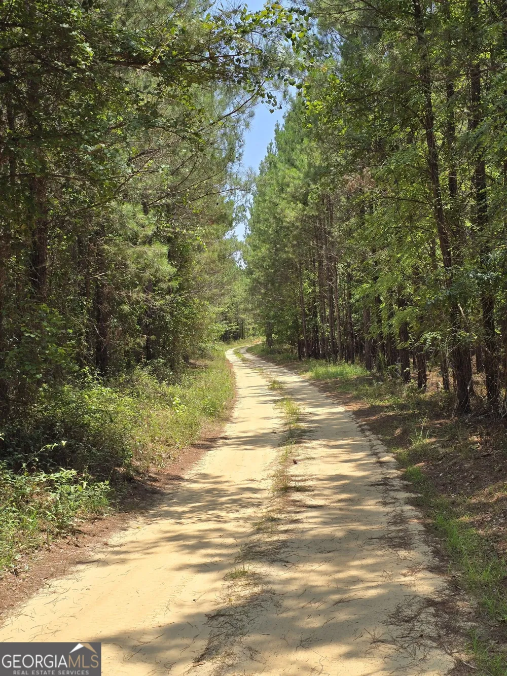 0 GA Hwy 56 N Waynesboro, GA 30830