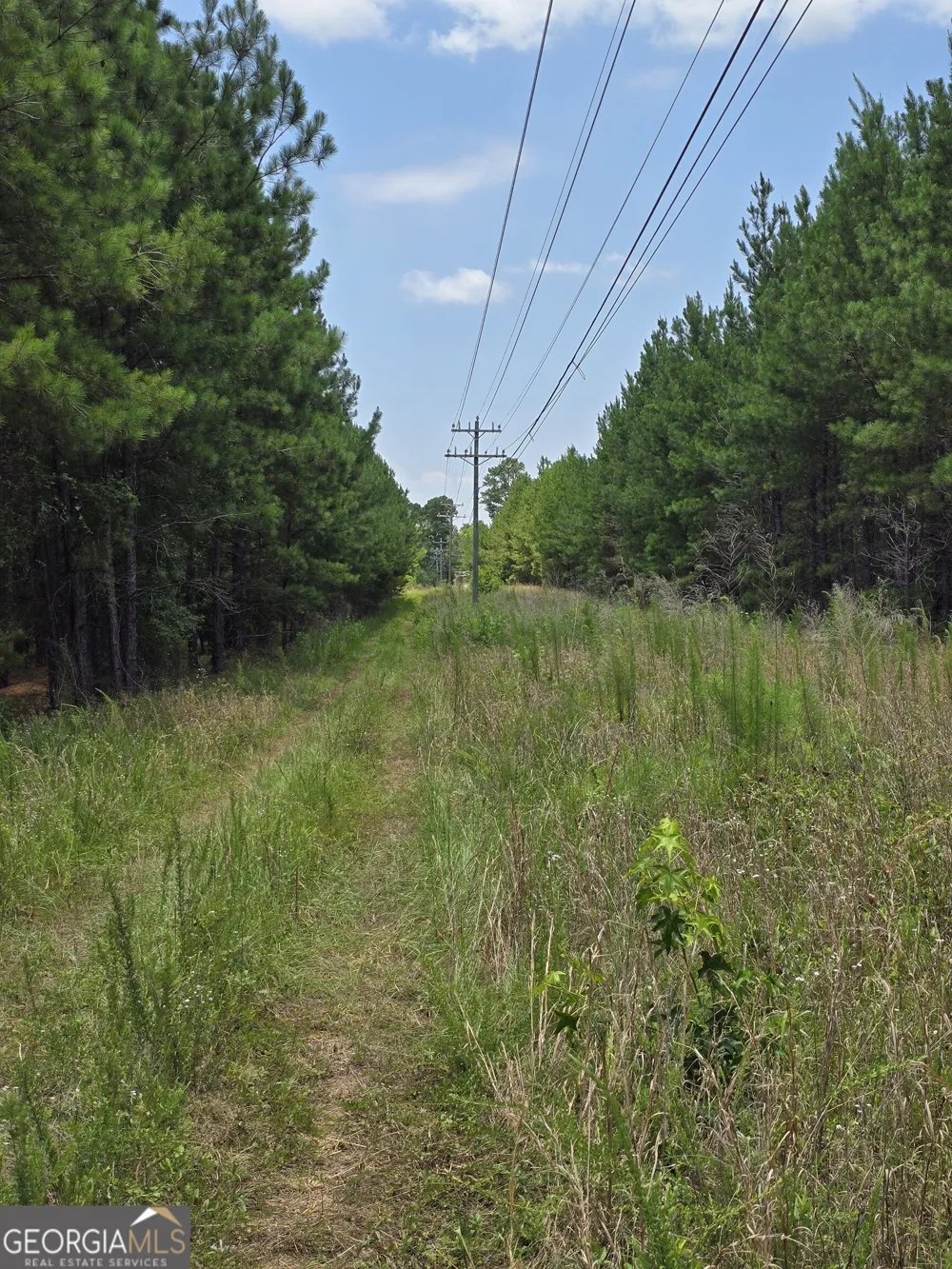0 GA Hwy 56 N Waynesboro, GA 30830