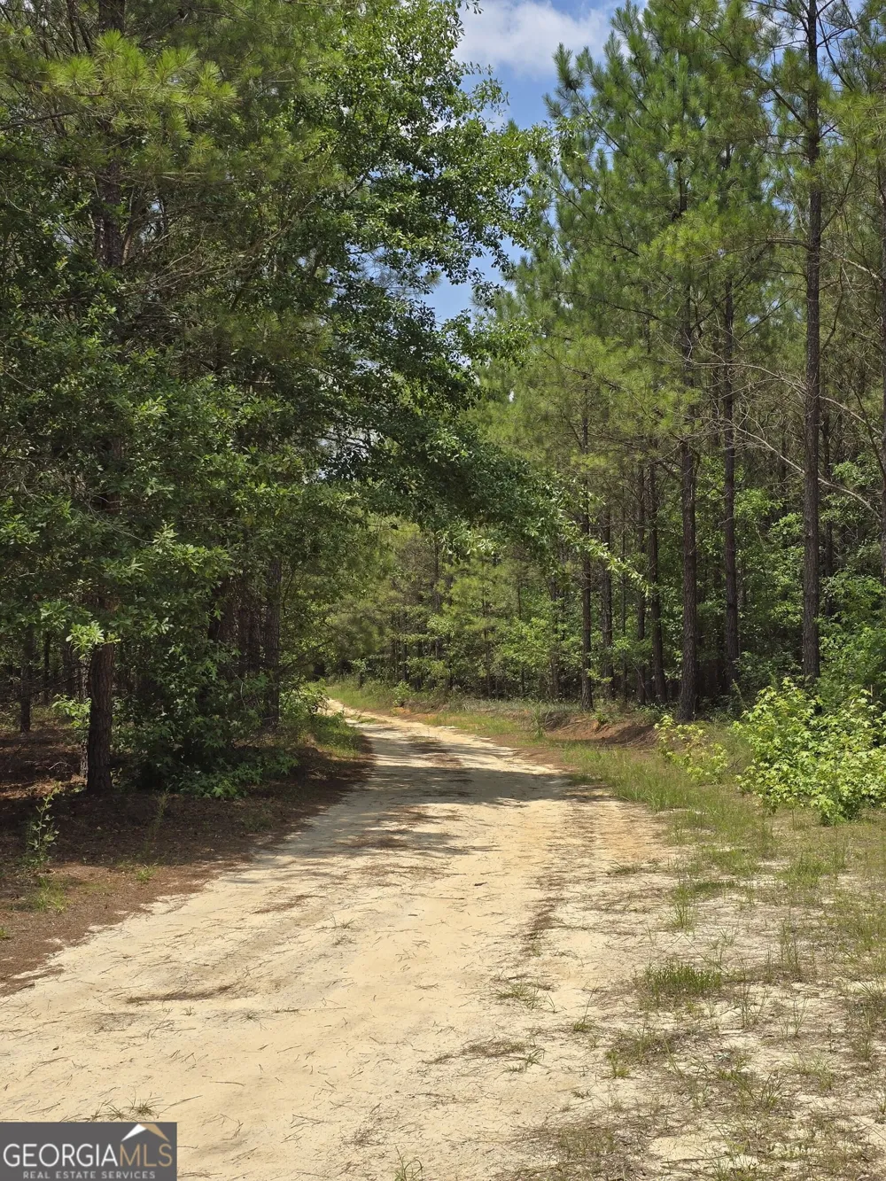 0 GA Hwy 56 N Waynesboro, GA 30830