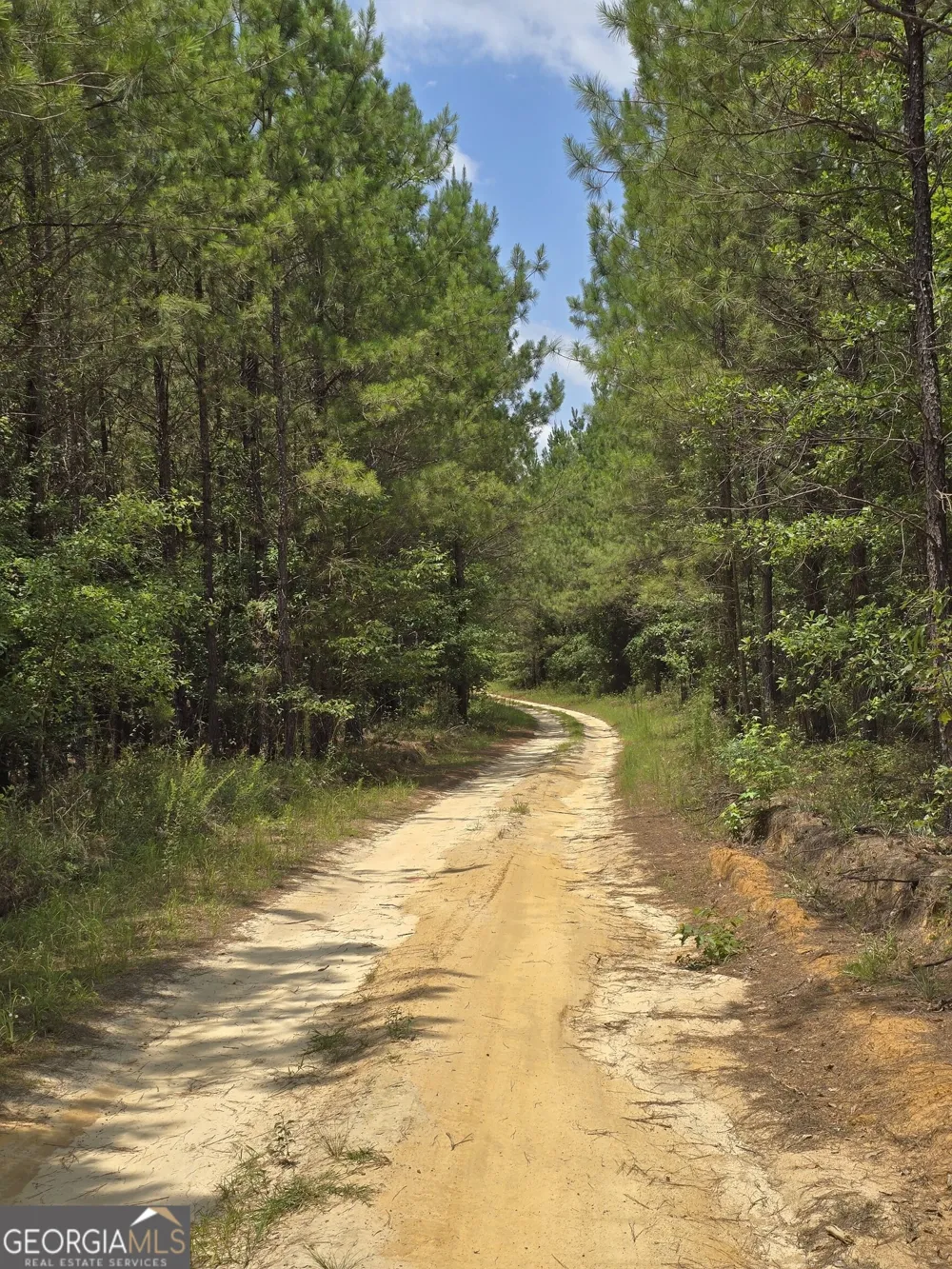 0 GA Hwy 56 N Waynesboro, GA 30830