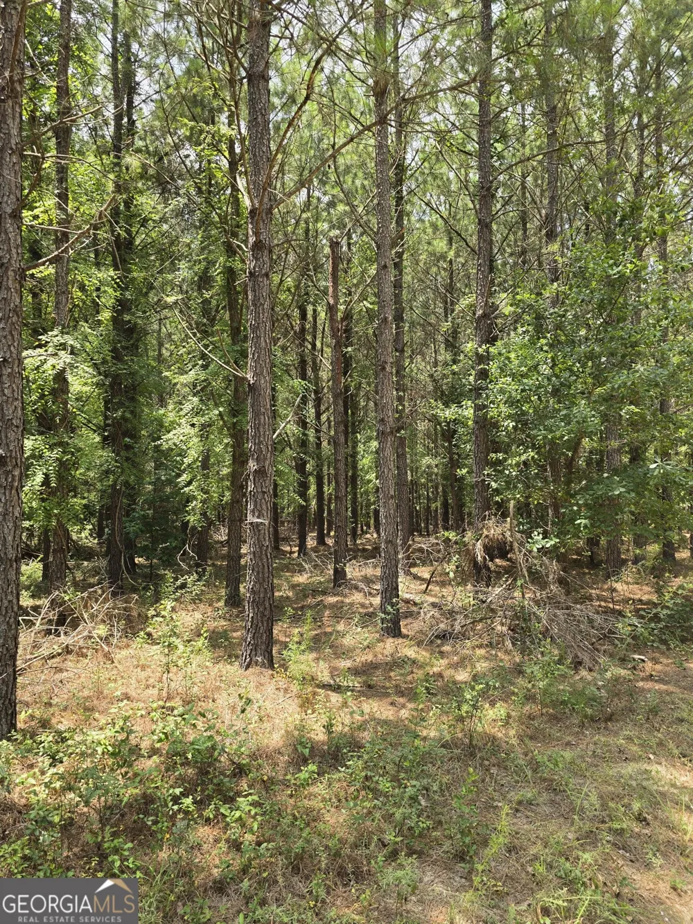 0 GA Hwy 56 N Waynesboro, GA 30830