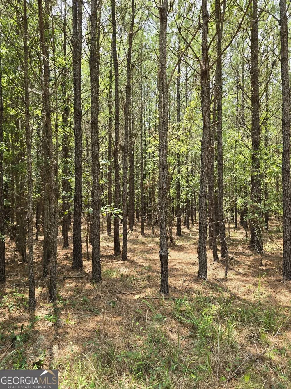0 GA Hwy 56 N Waynesboro, GA 30830