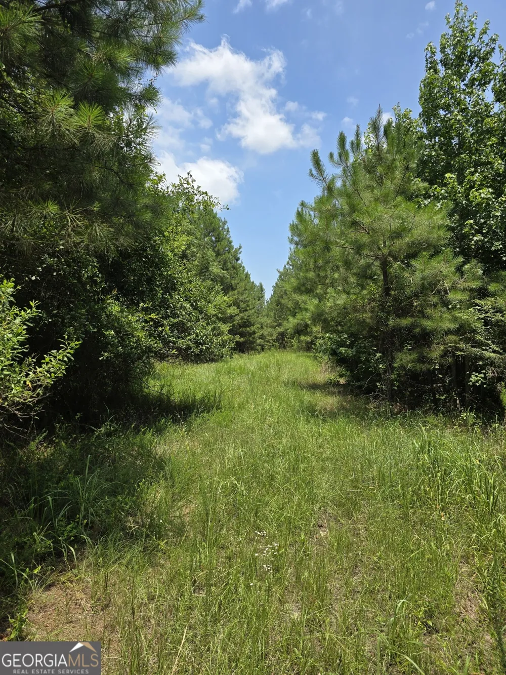 0 GA Hwy 56 N Waynesboro, GA 30830