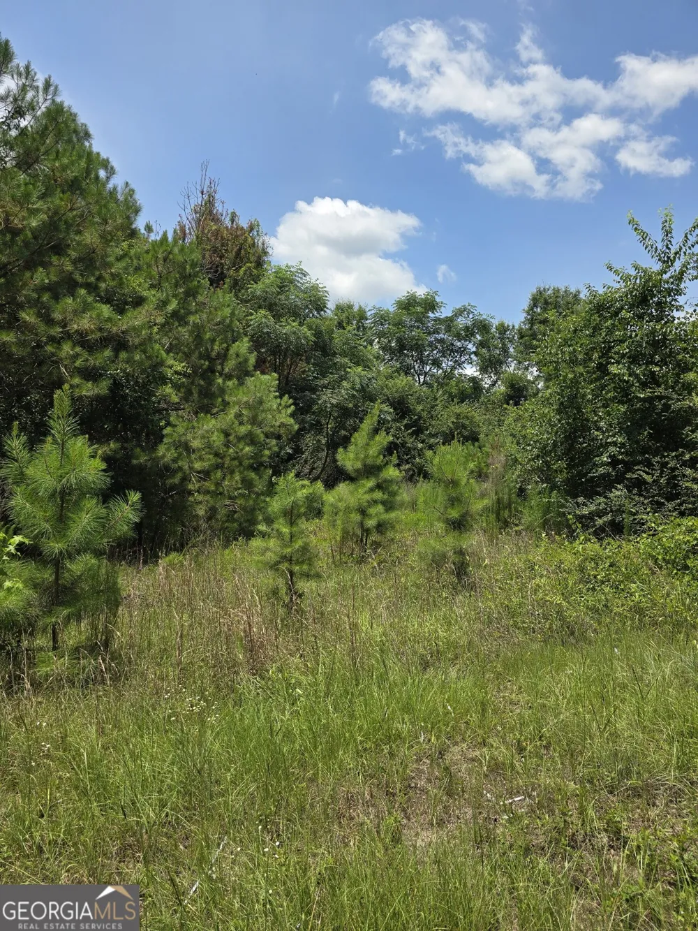 0 GA Hwy 56 N Waynesboro, GA 30830