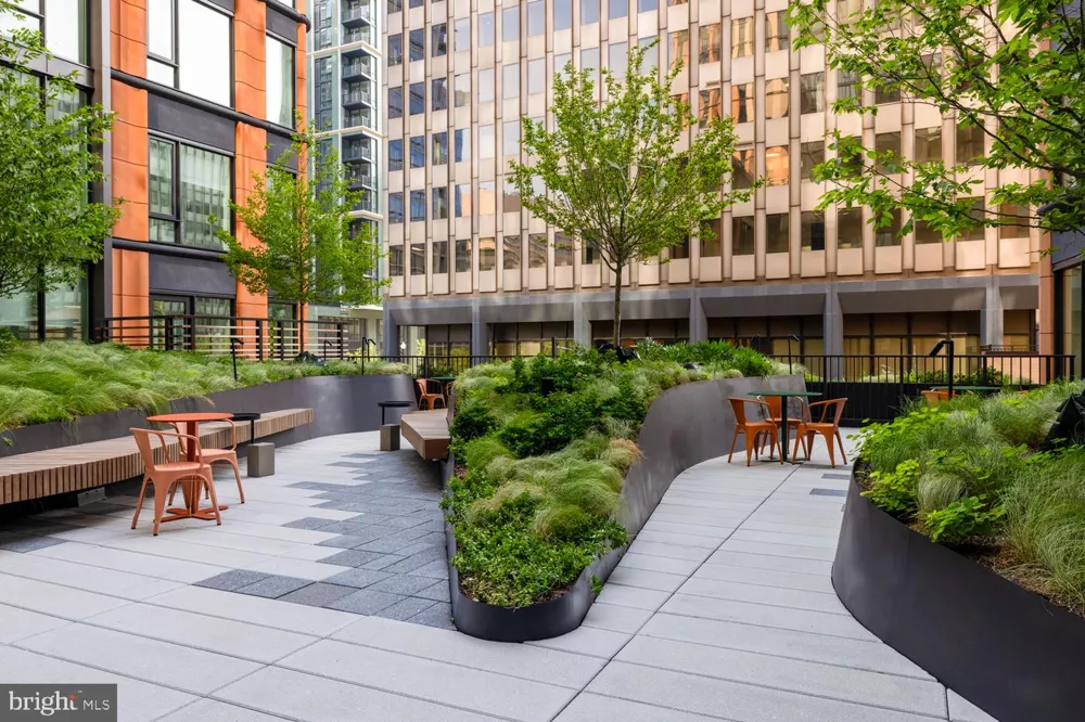 244 19TH COURT S #433 Arlington, VA 22202