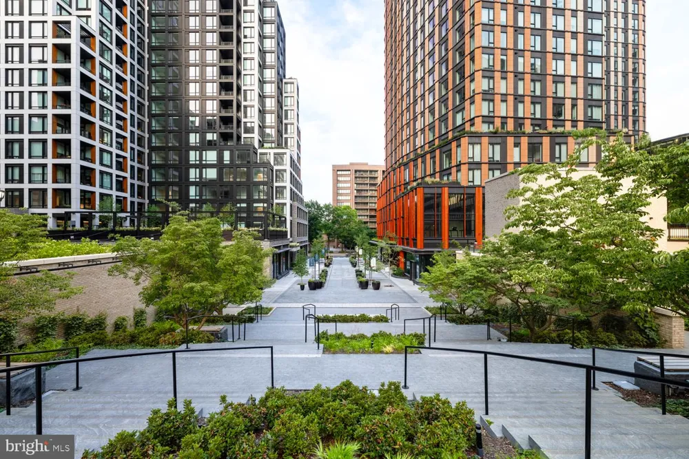 244 19TH COURT S #433 Arlington, VA 22202