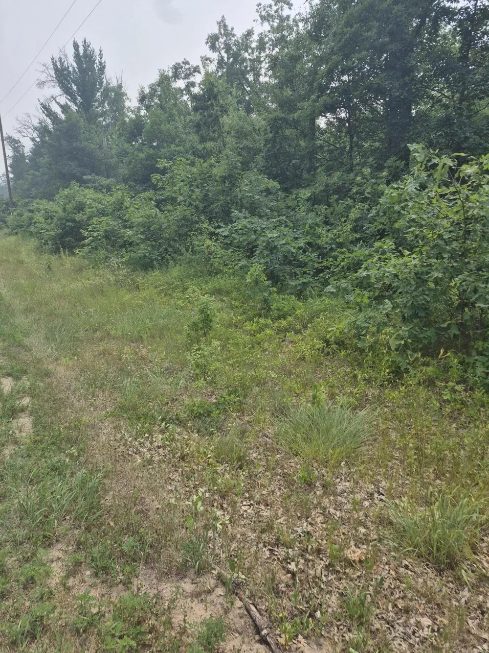 W Foreman Road Baldwin, MI 49304