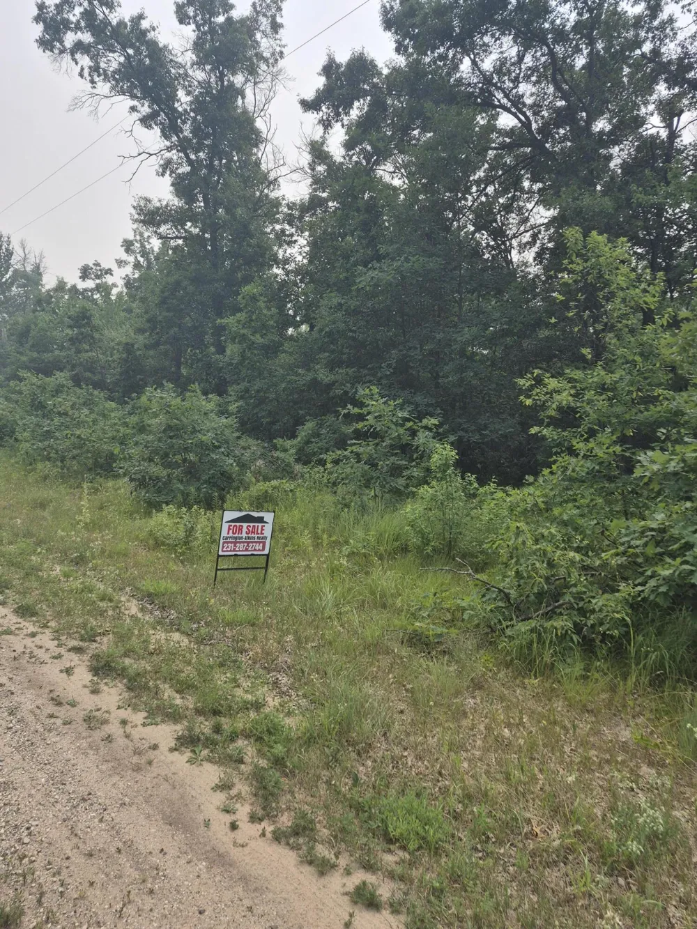 W Foreman Road Baldwin, MI 49304