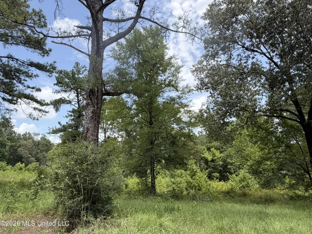Mannsdale Rd Madison, MS 39110