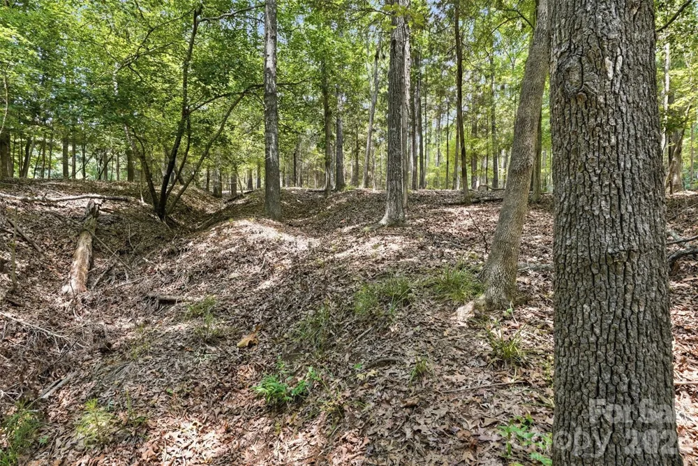 TBD Marlette Drive York, SC 29745