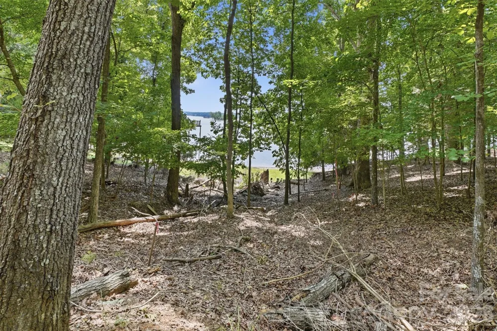 TBD Marlette Drive York, SC 29745