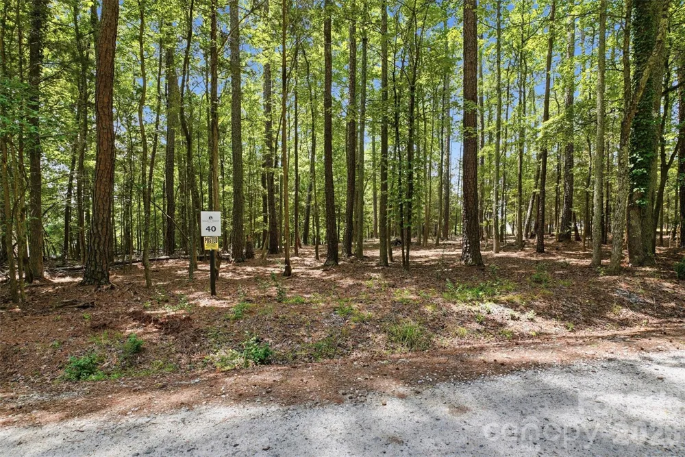 TBD Marlette Drive York, SC 29745