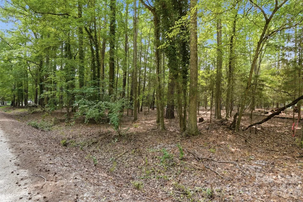 TBD Marlette Drive York, SC 29745