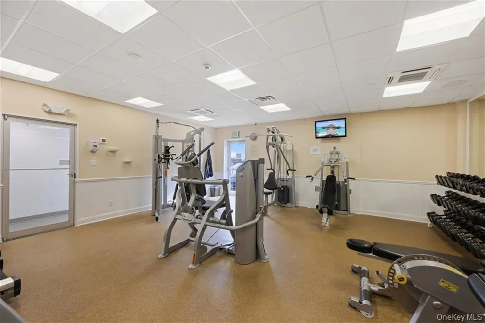 703 Pelham Road #513 New Rochelle, NY 10805