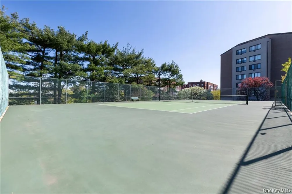 703 Pelham Road #513 New Rochelle, NY 10805