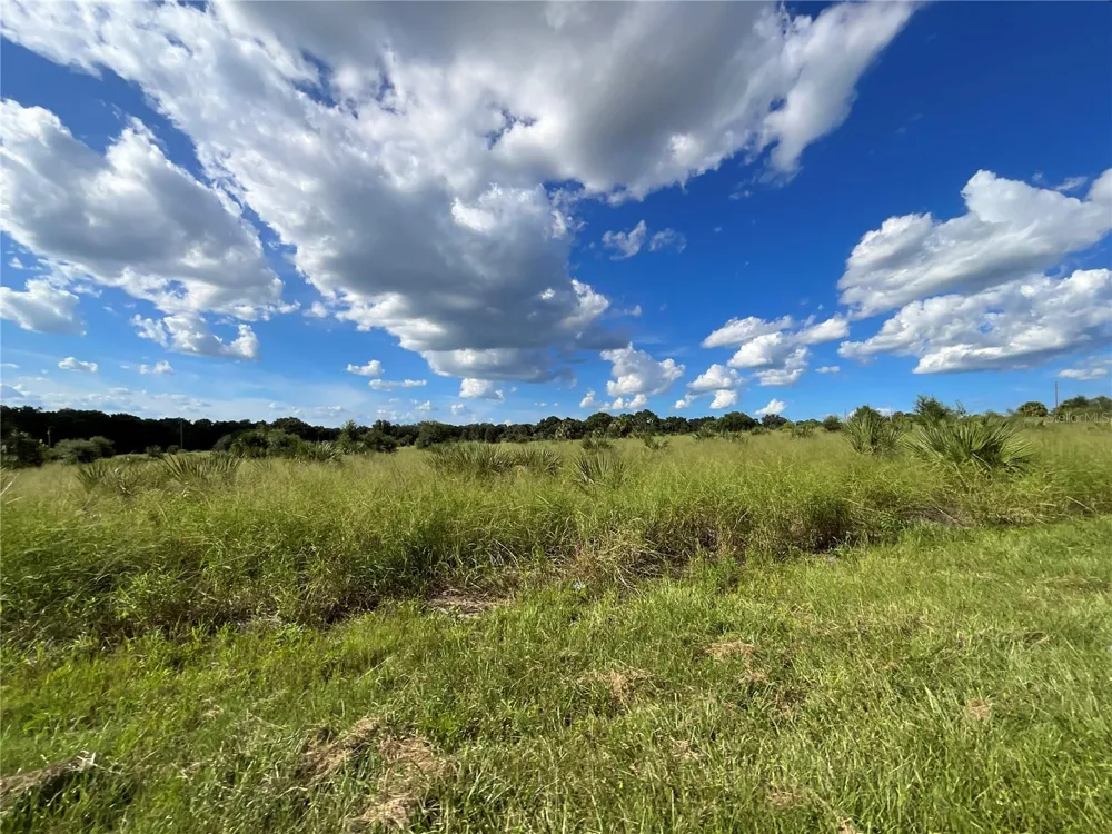 SUNSET HARBOR RD Weirsdale, FL 32195
