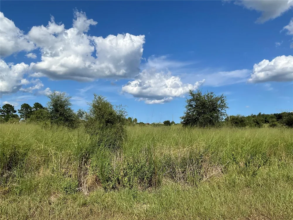 SUNSET HARBOR RD Weirsdale, FL 32195